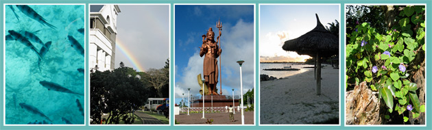 Mauritius montage