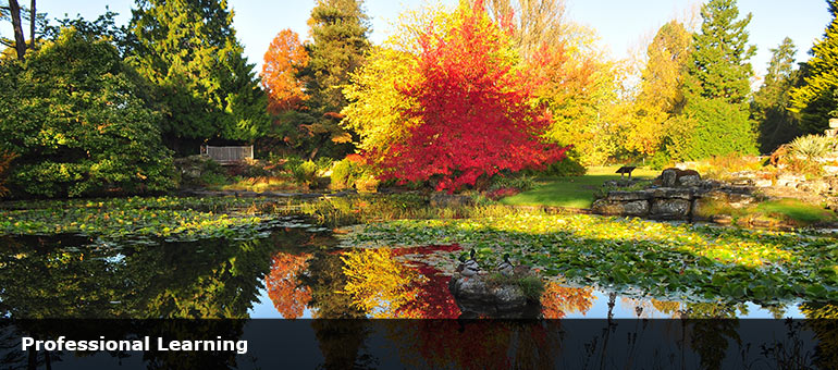 Autumn trees and lake