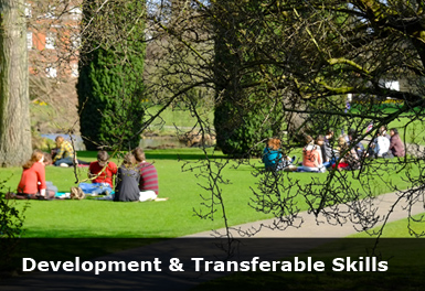 students sitting on a lawn studying