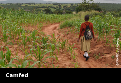 Girl walking through field