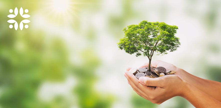 A small tree grows from coins held in a persons hands