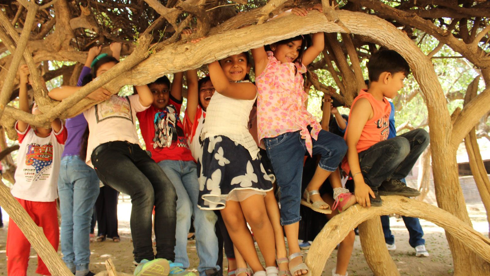 Children play in a tree