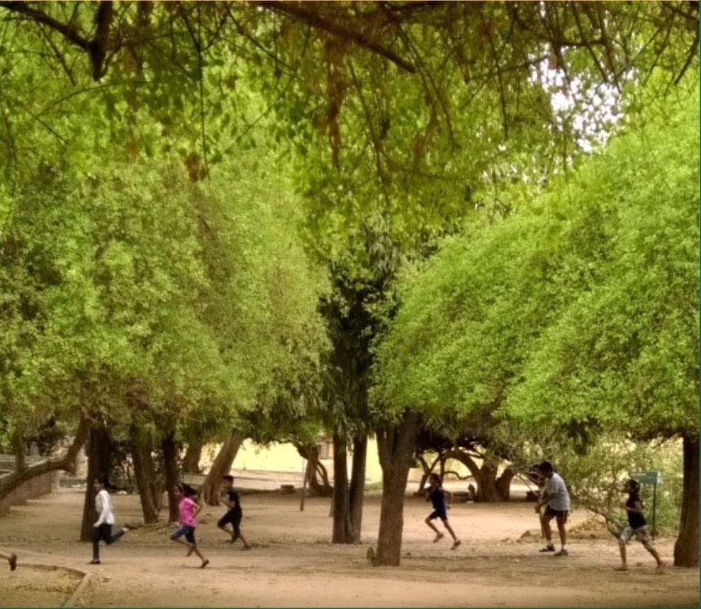 Students running among trees