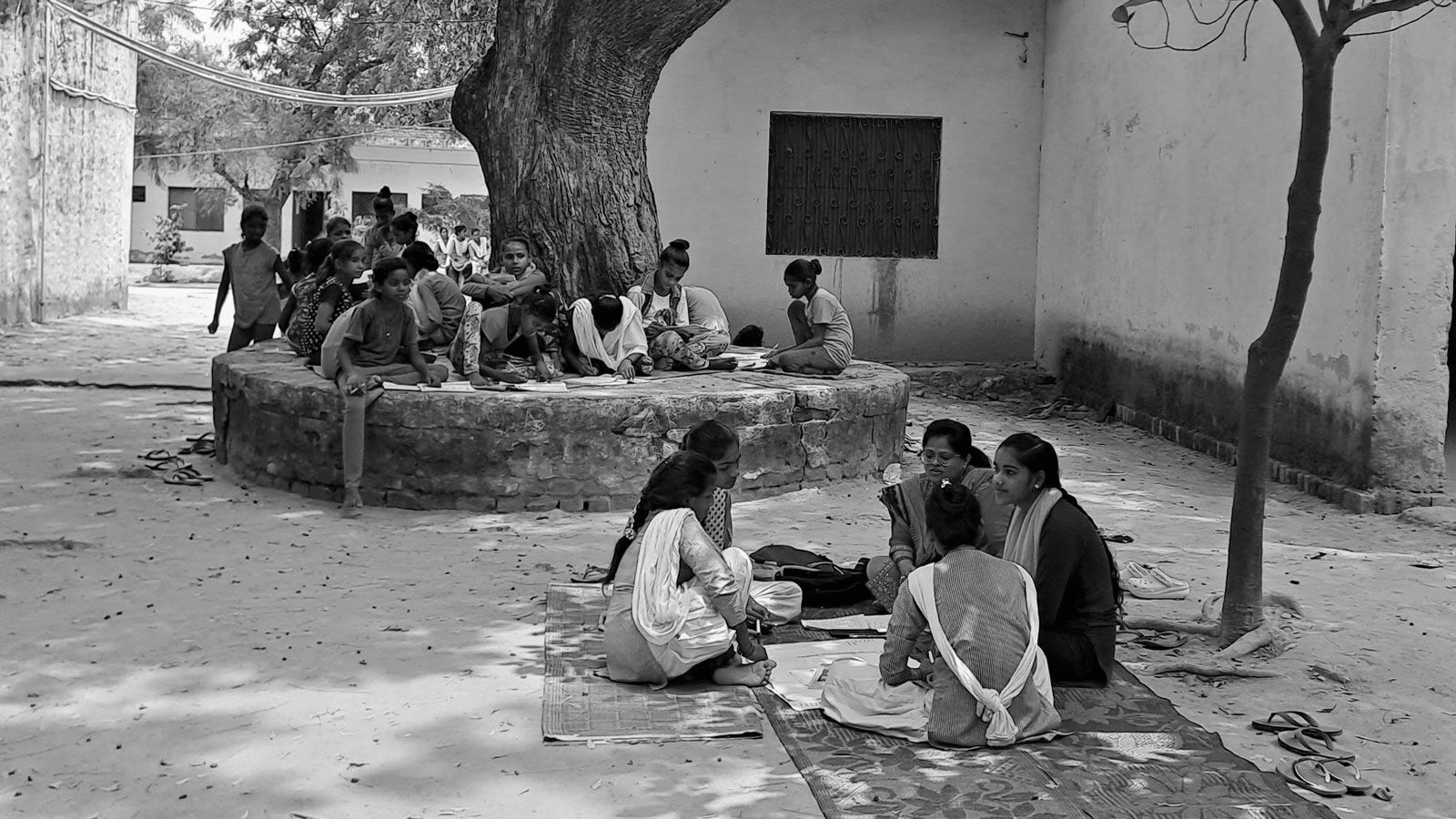 People studying outside