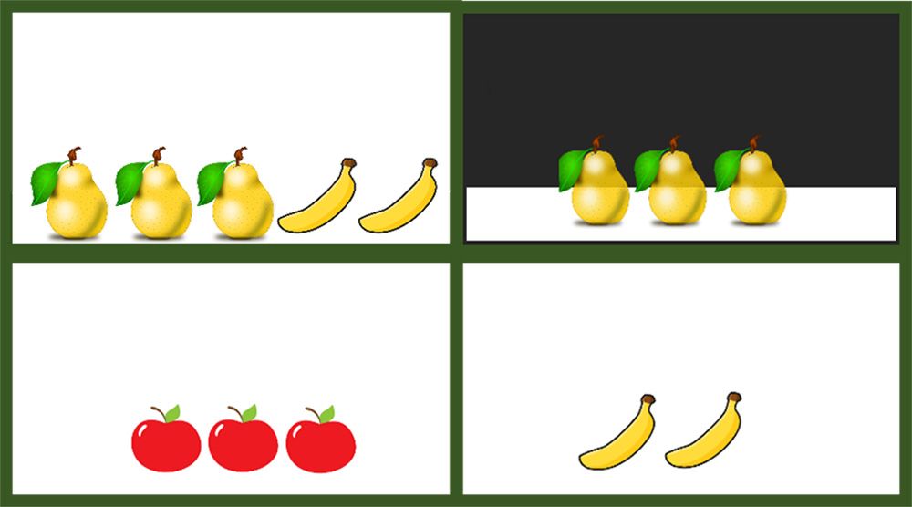 Example of the cards used in the experiment. Children could see all four cards in the above example, but the adult could not see the picture of pears, top right. When the adult said "pass me the card with pears", the child had to work out that they meant the card top left.