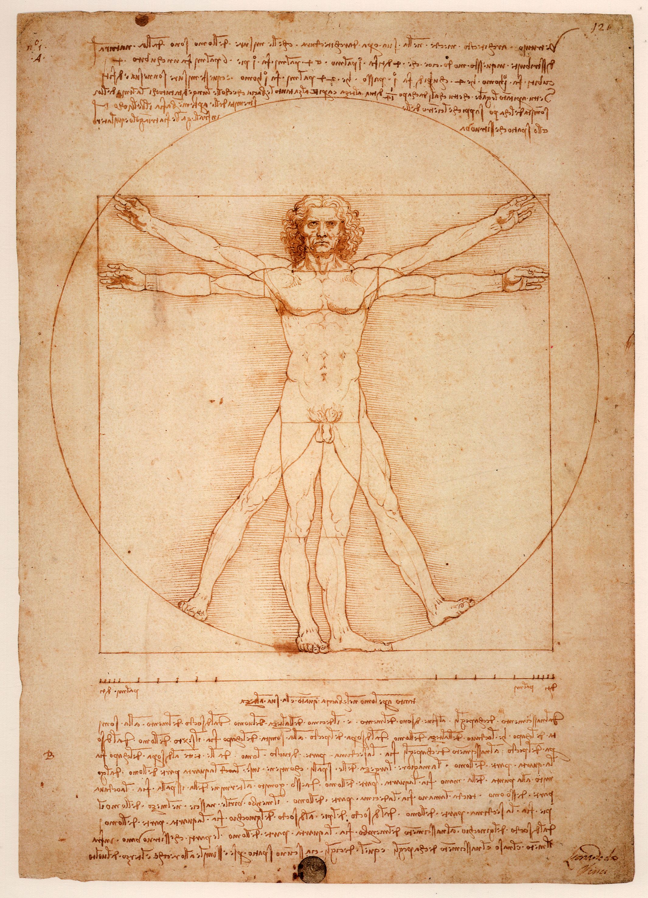 Vitruvian Man, Leonardo da Vinci